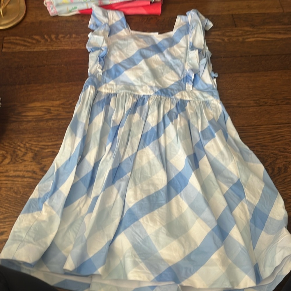 Petit Peony dress size 10